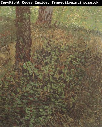 Vincent Van Gogh Undergrowth (nn04)